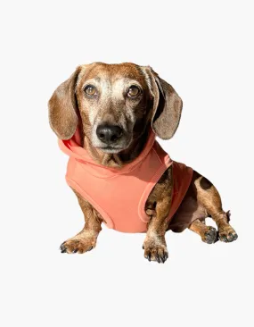 Bamboo Dog Hoodie - Peach