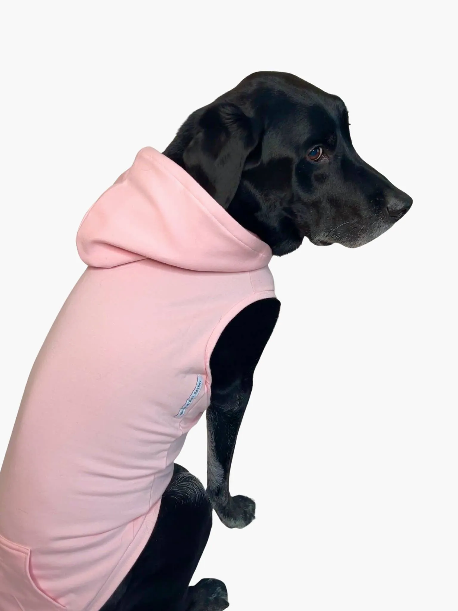 Bamboo Dog Hoodie - Pink