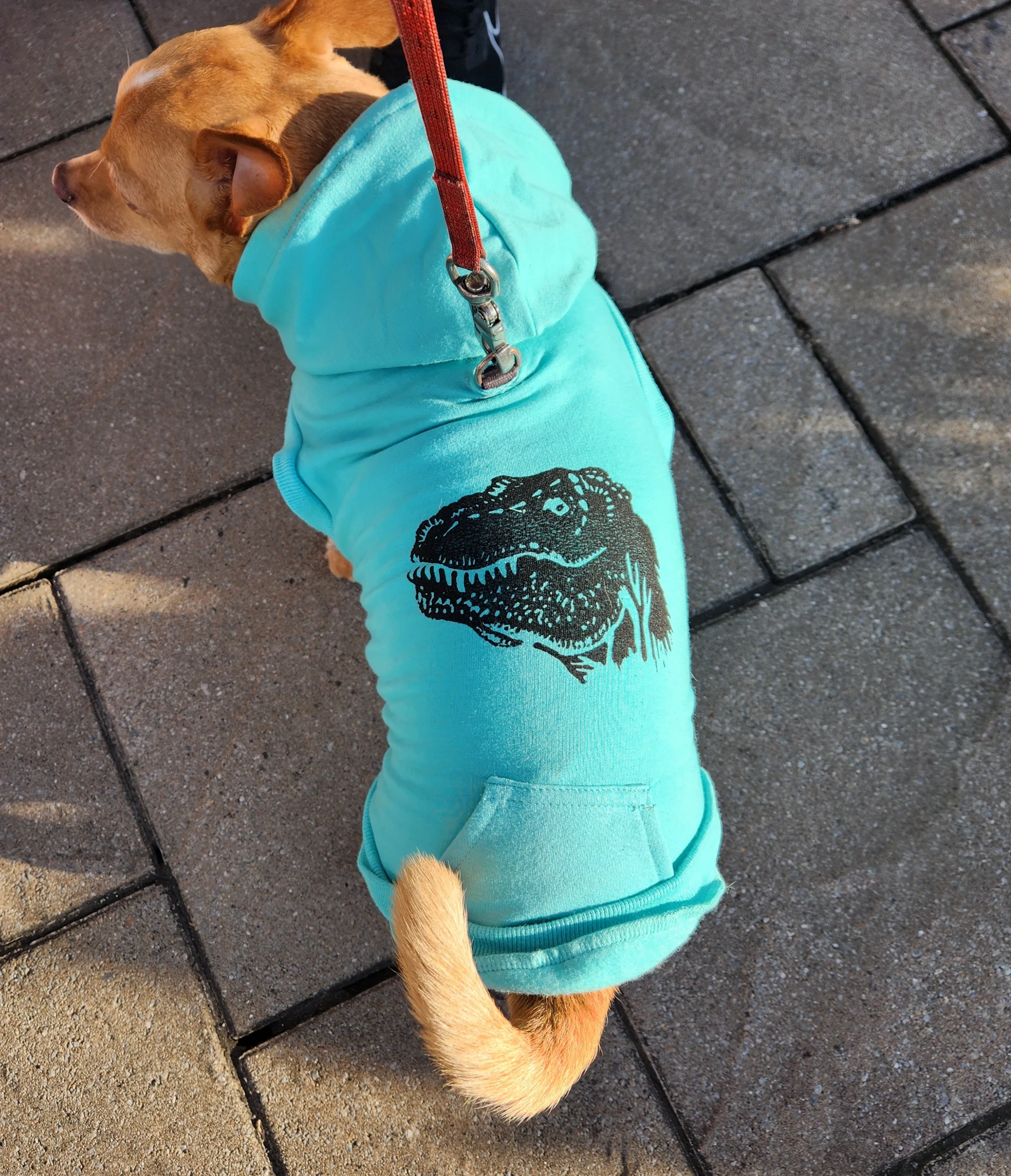 Bamboo Dog Hoodie - Pink