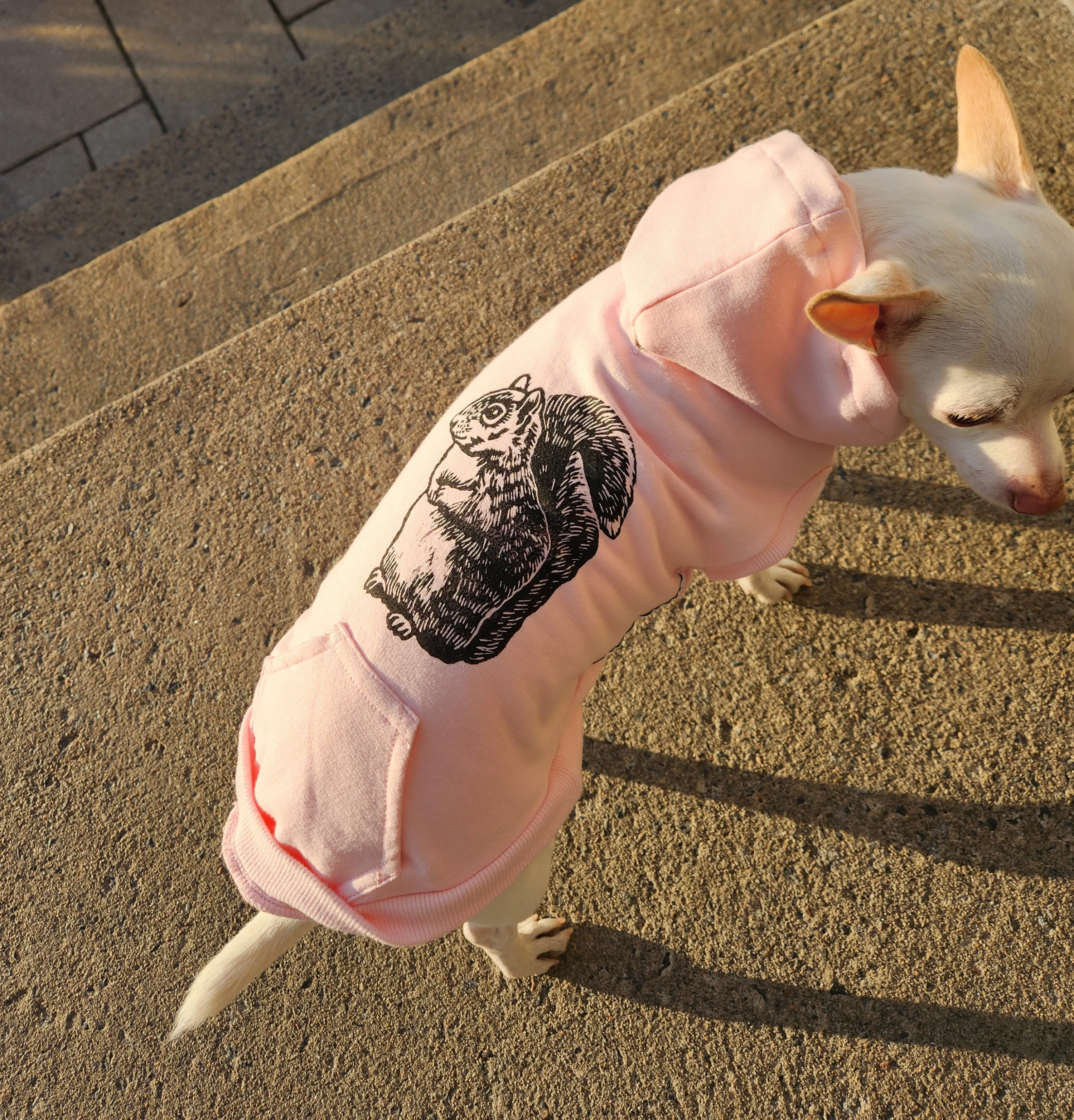 Bamboo Dog Hoodie - Pink