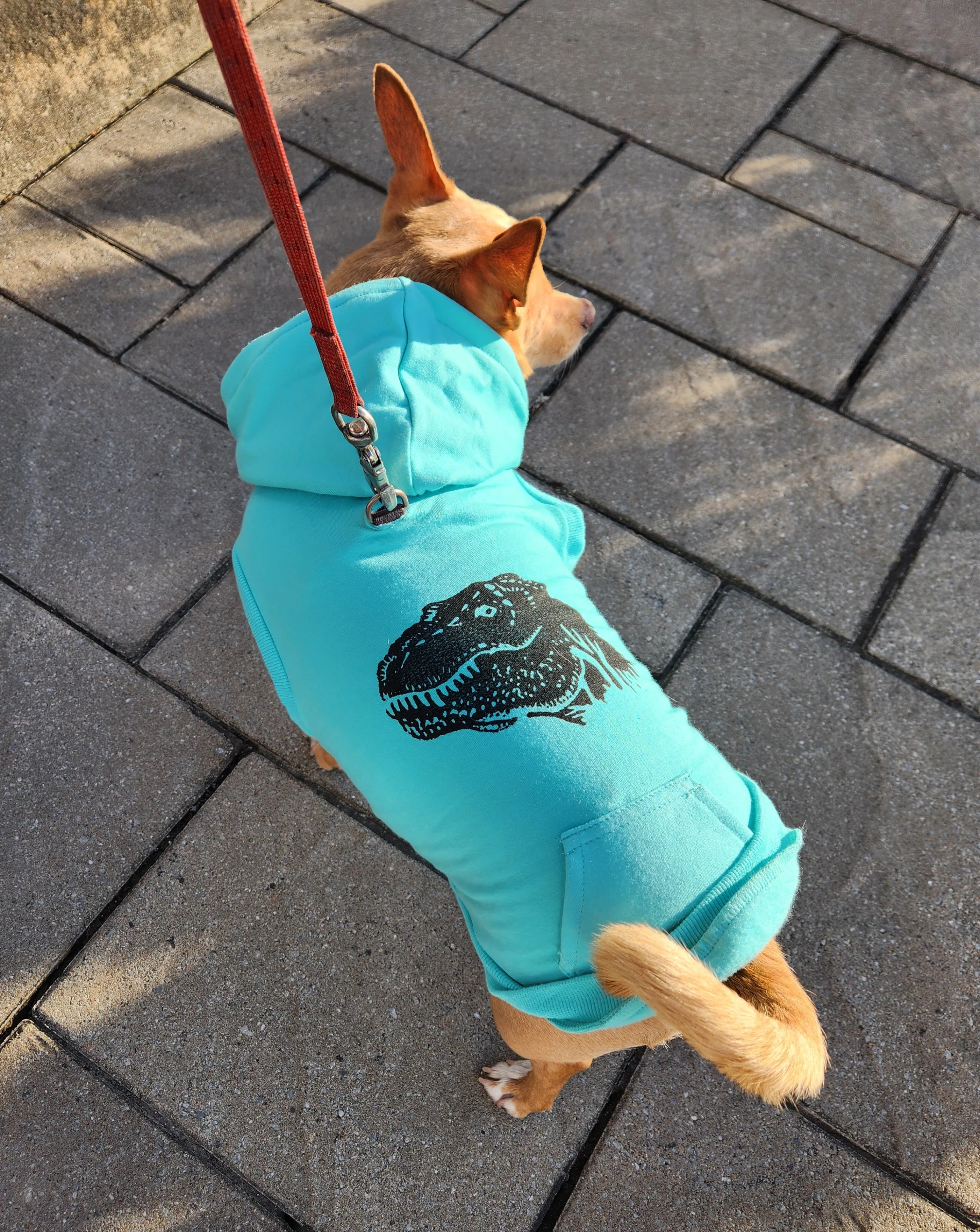 Bamboo Dog Hoodie - Pink
