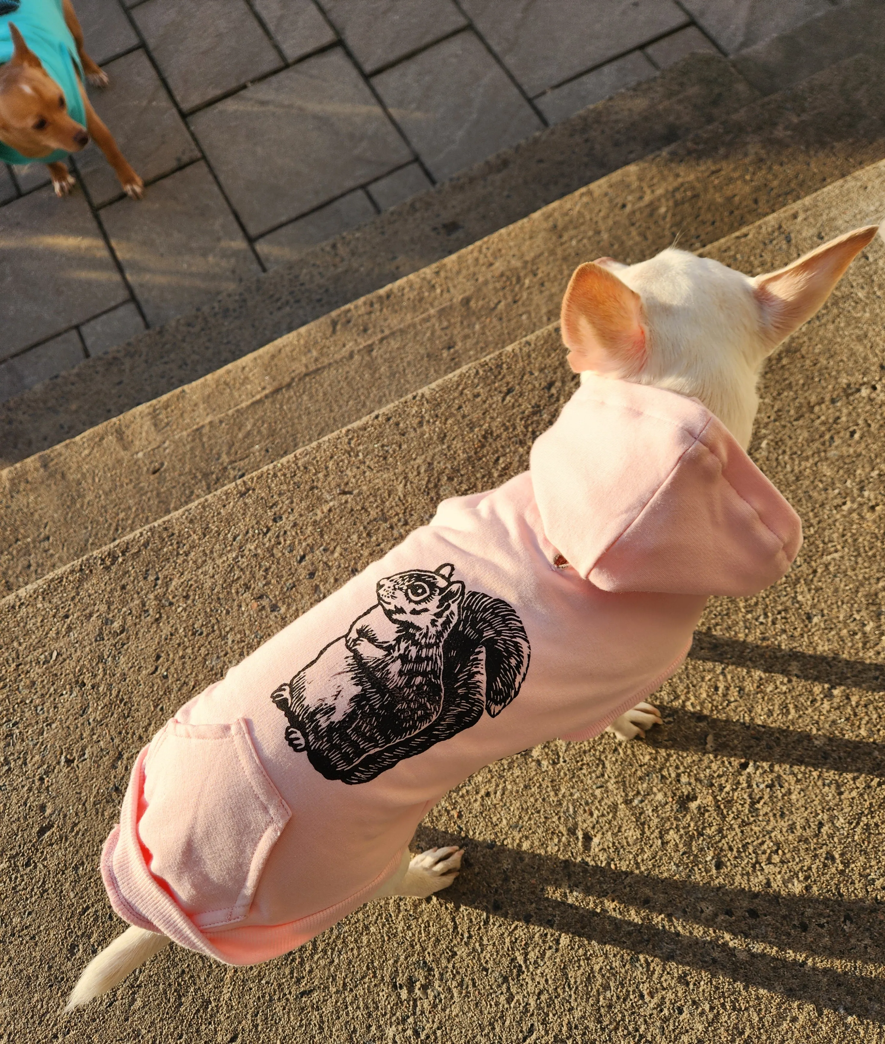 Bamboo Dog Hoodie - Pink