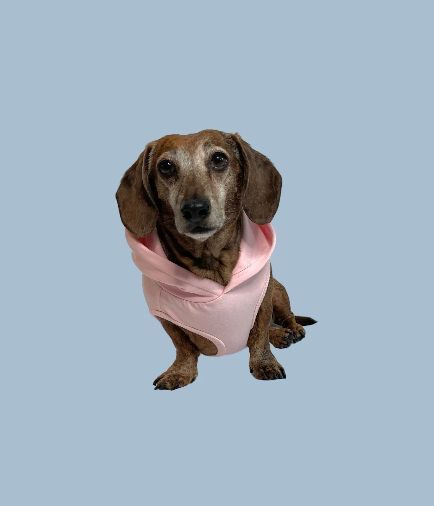 Bamboo Dog Hoodie - Pink