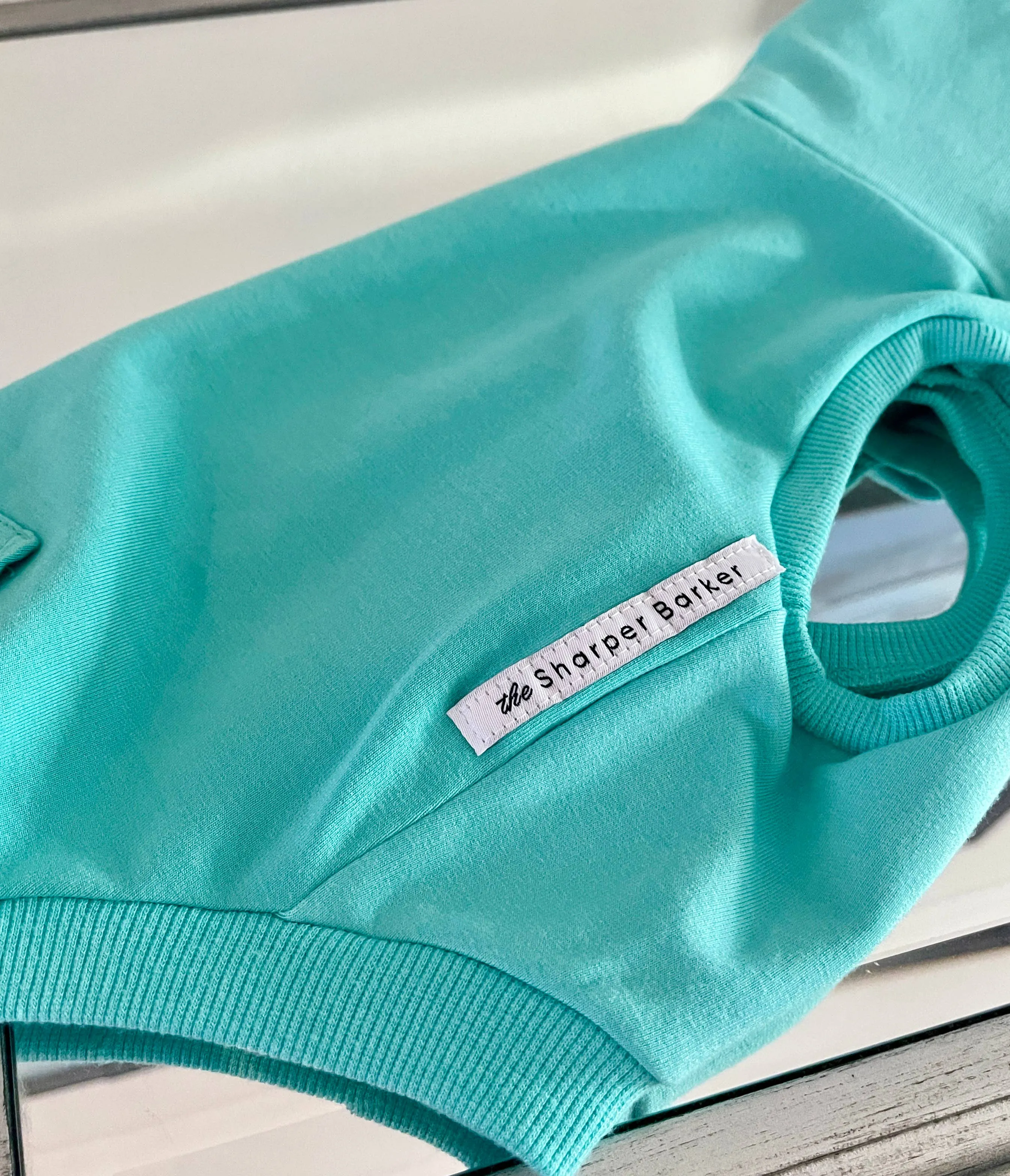 Bamboo Dog Hoodie - Turquoise
