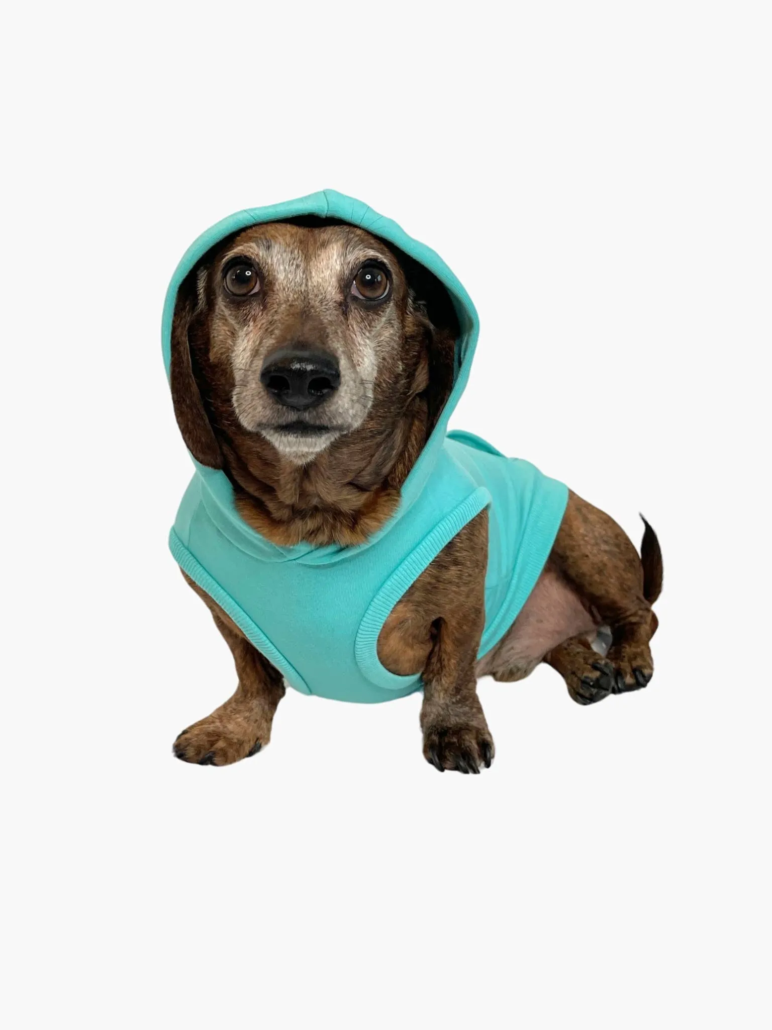 Bamboo Dog Hoodie - Turquoise