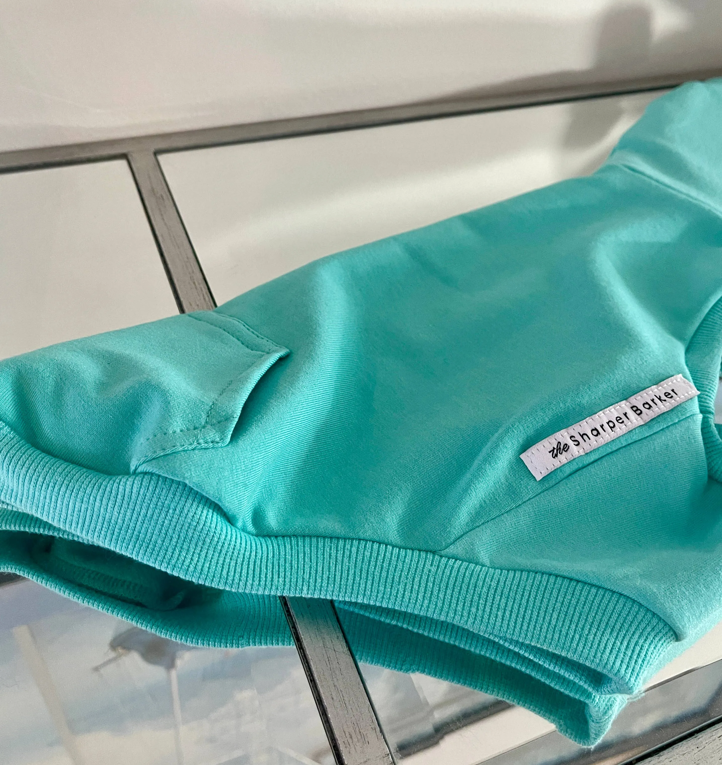 Bamboo Dog Hoodie - Turquoise