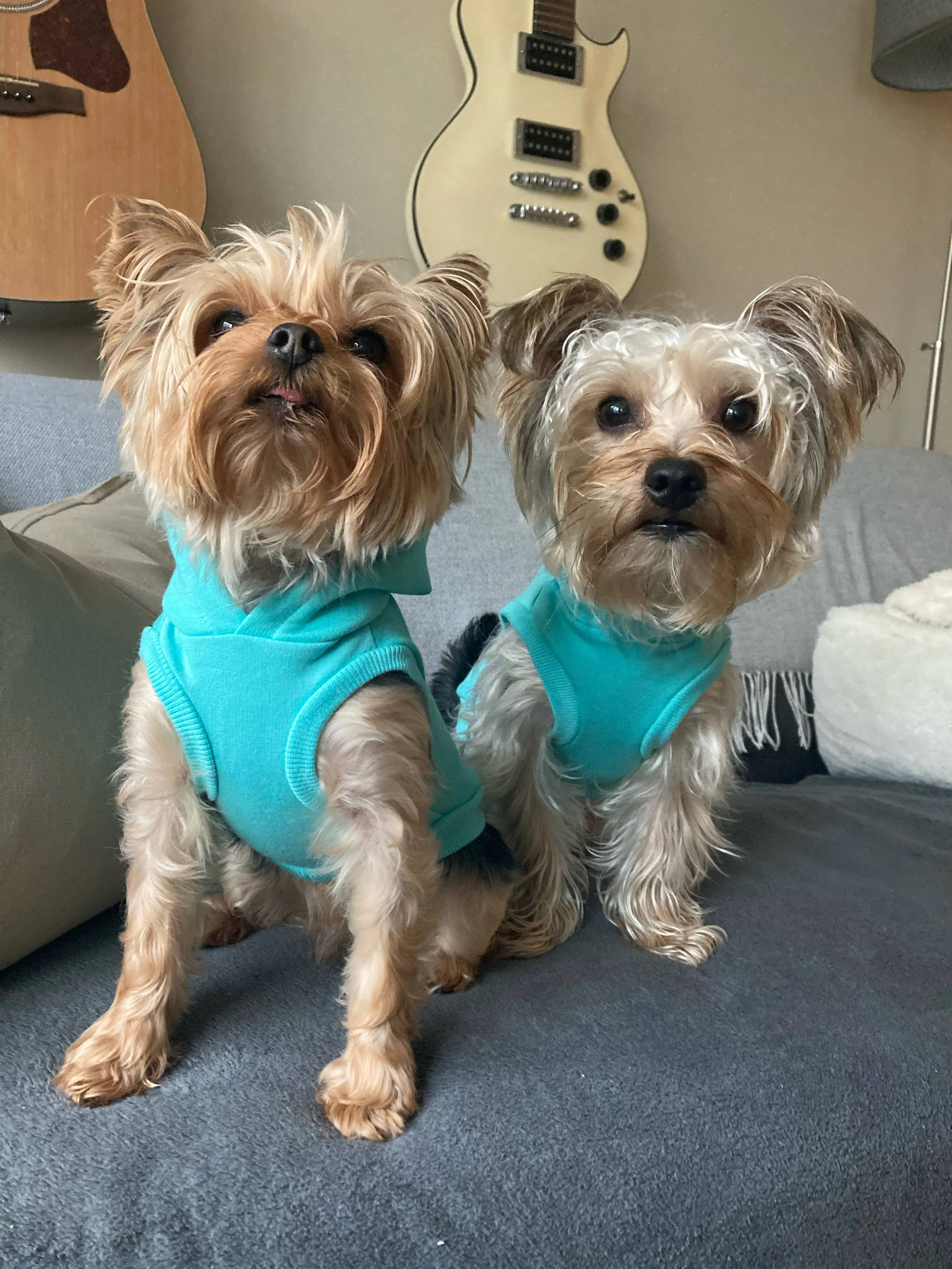 Bamboo Dog Hoodie - Turquoise