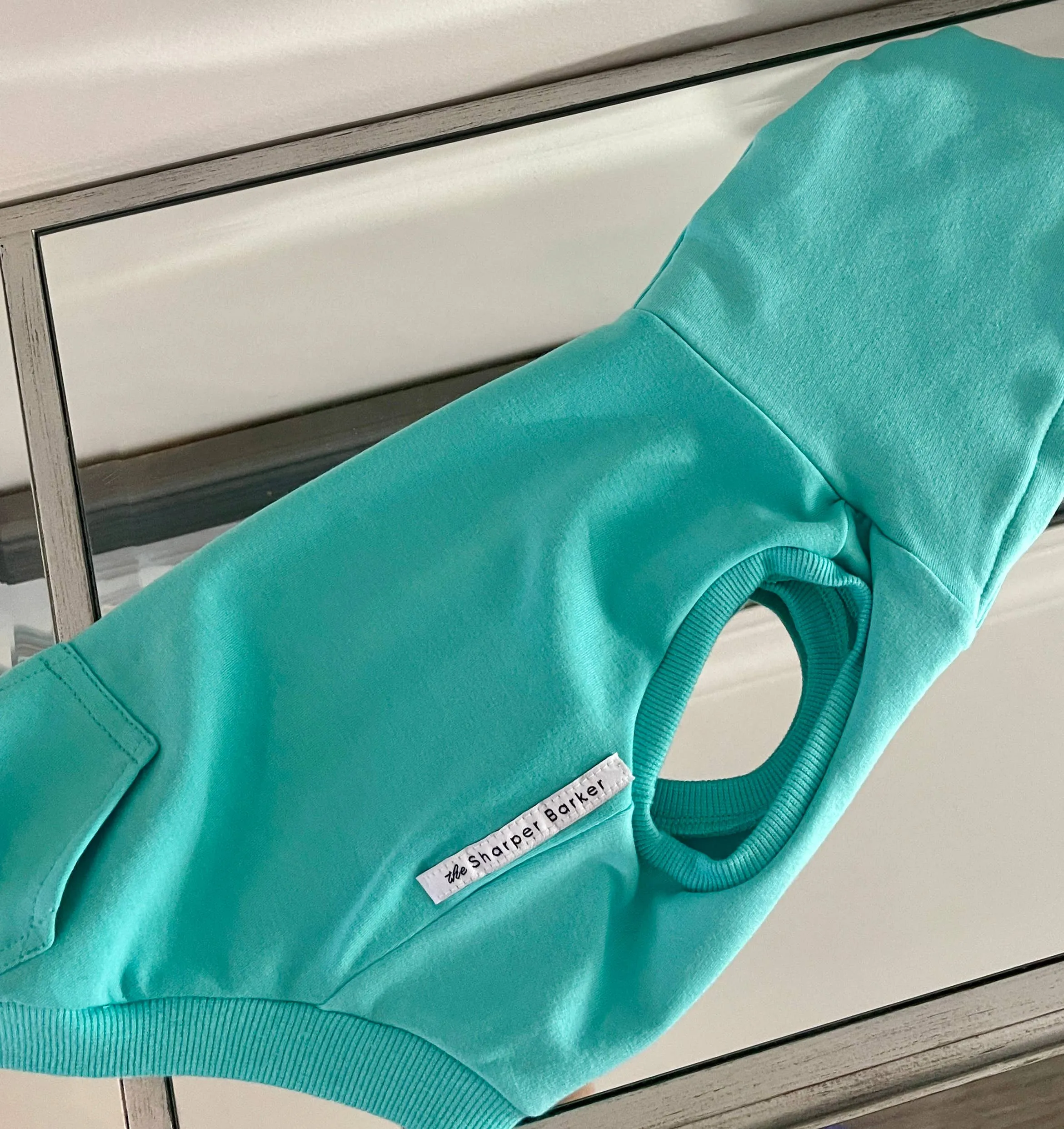 Bamboo Dog Hoodie - Turquoise